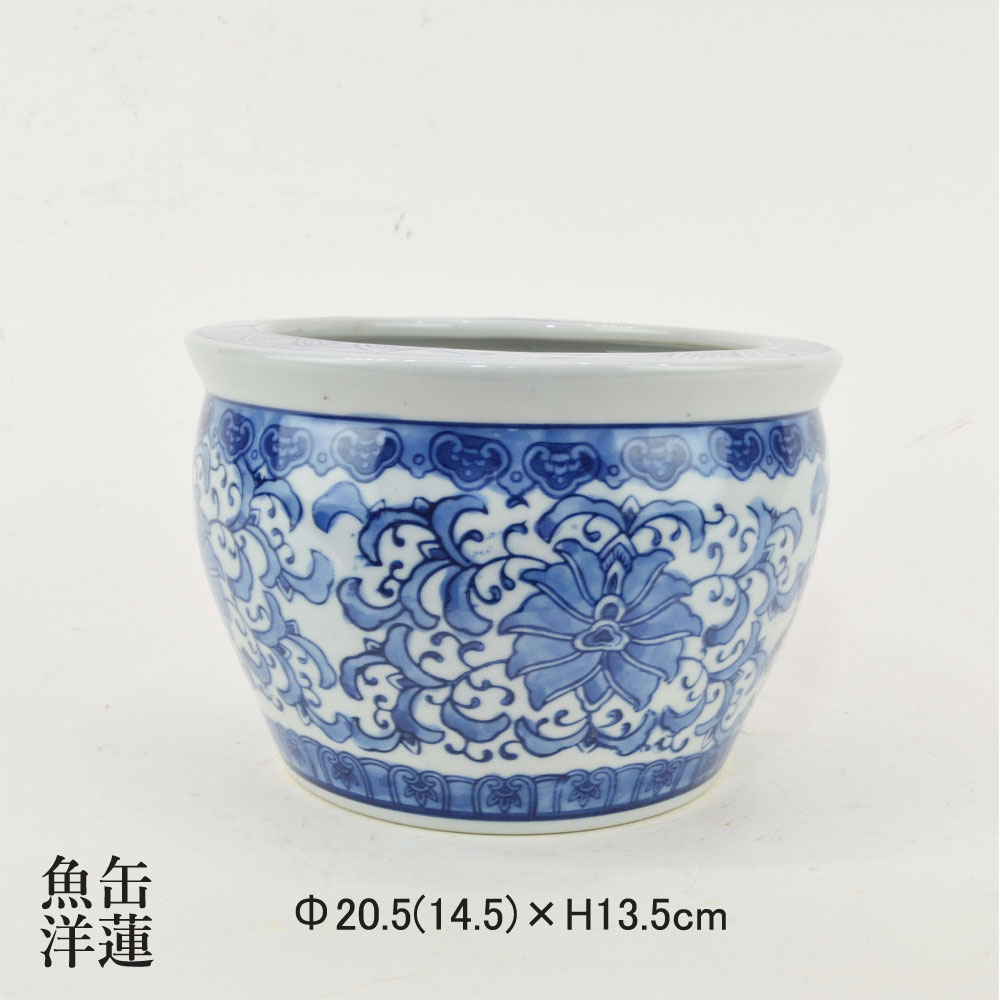 ��Ƚ ���� ��ϡ ��ϡ ƫ���� ��ȭ ���ȭ ����� ��ʪ