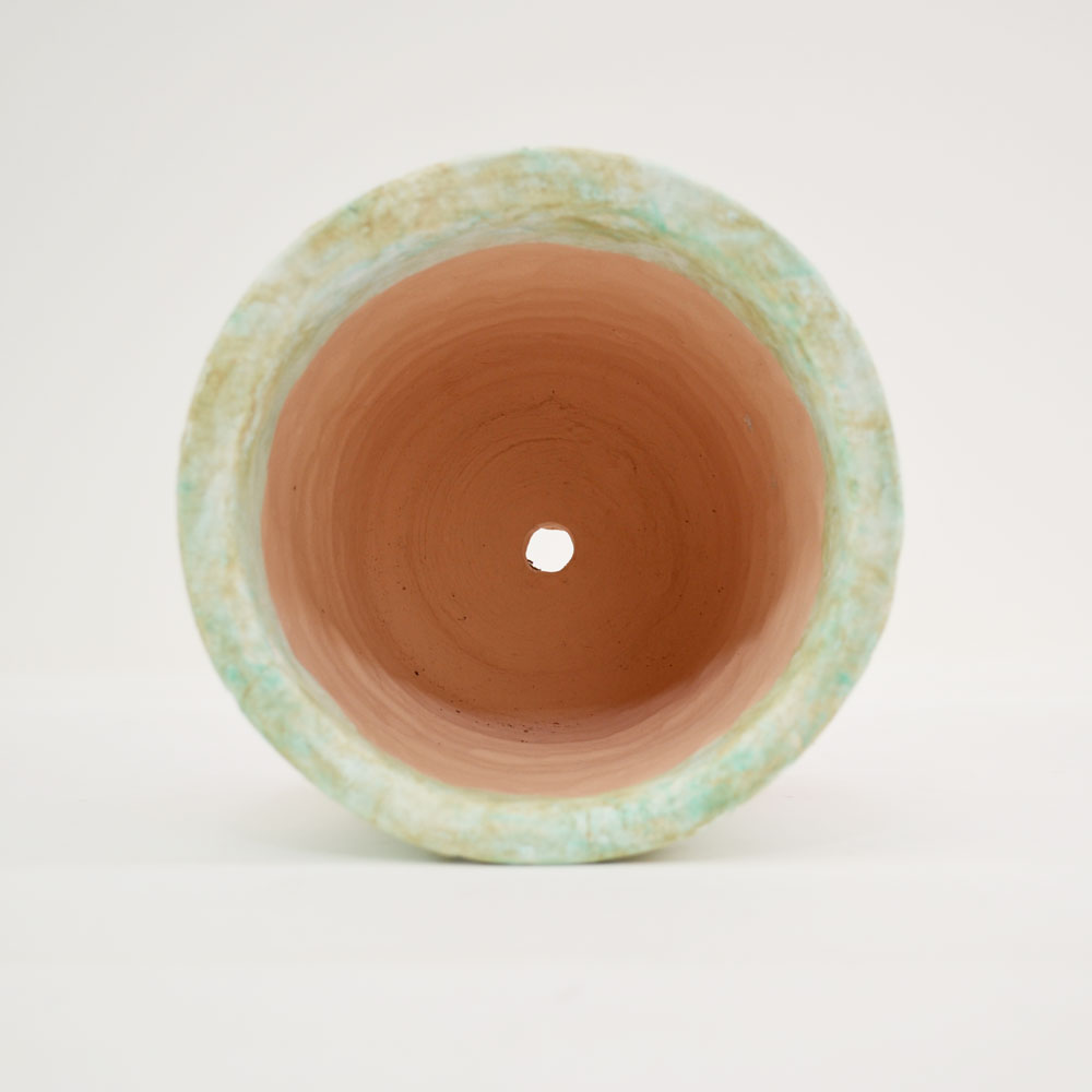 �ƥ饳�å�ȭ ����ȭ  �ե롼��S 5�� �� �������