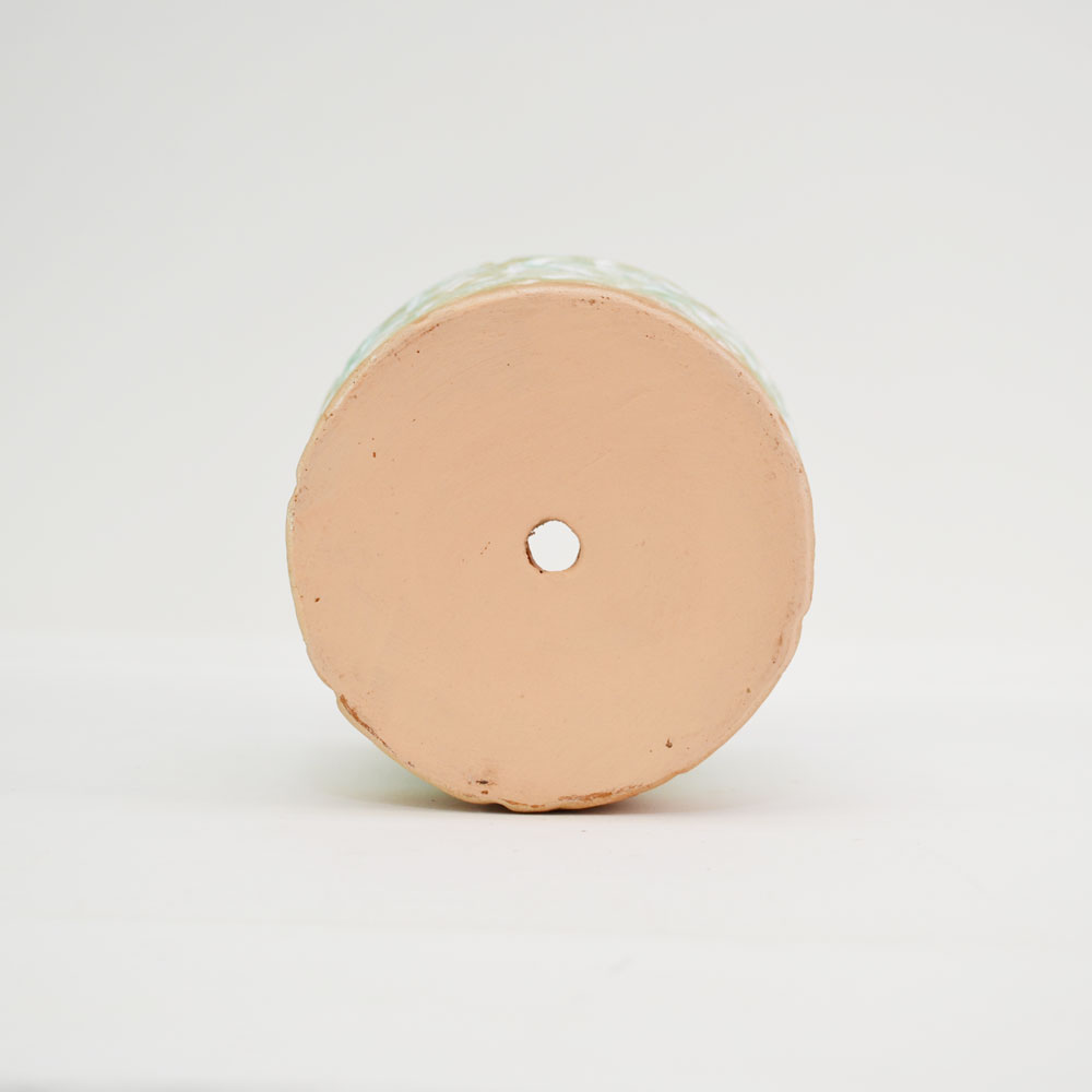 �ƥ饳�å�ȭ ����ȭ  �ե롼��S 5�� �� �������