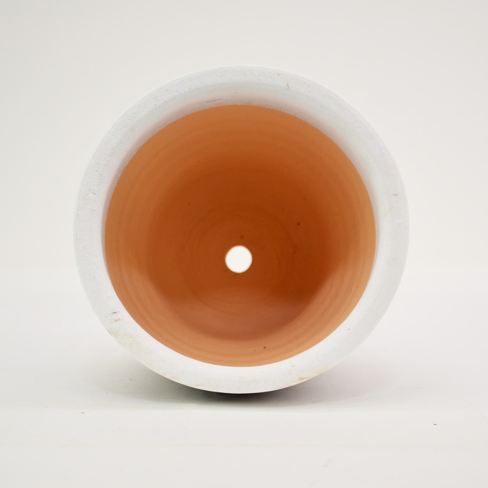 �ƥ饳�å�ȭ ����ȭ  �ޥ���� S 5�� �� �������