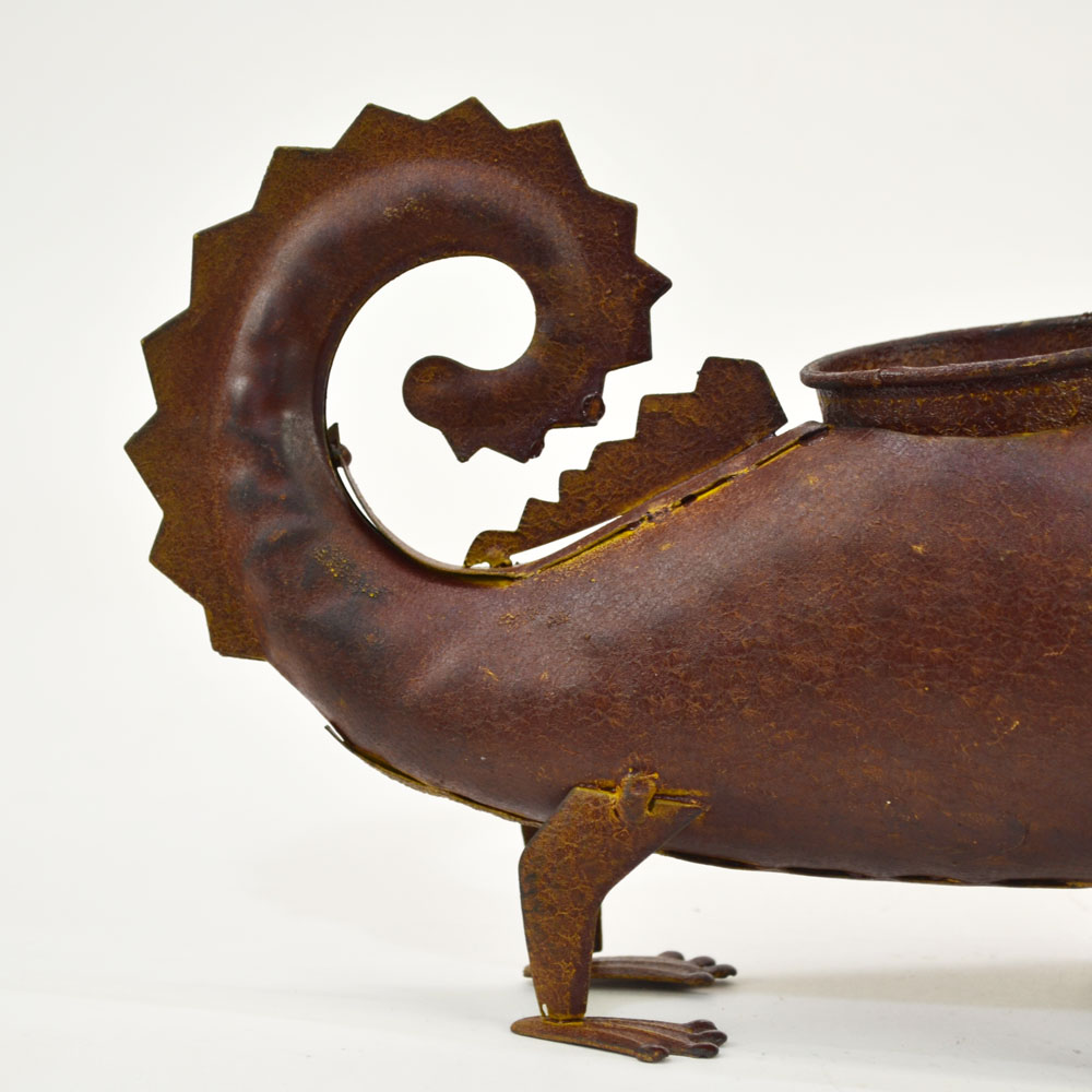 �֥ꥭ���꡼�� �ꥶ���ɥץ�󥿡� ����� ��ʪ ����