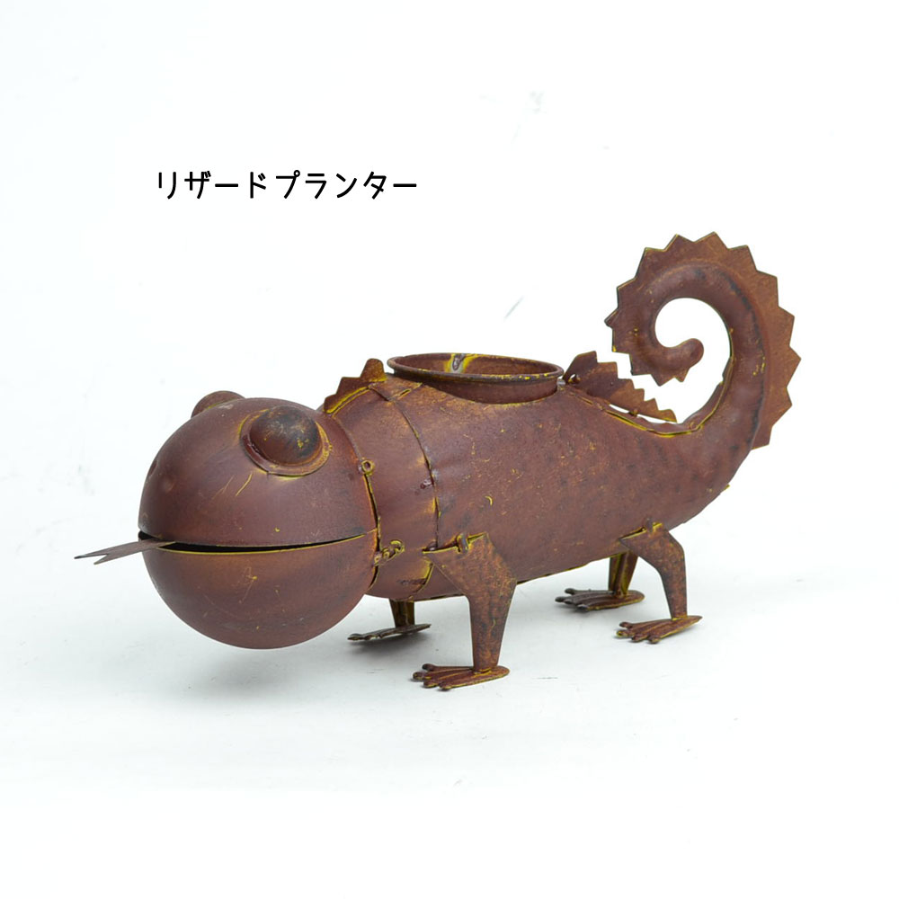 �֥ꥭ���꡼�� �ꥶ���ɥץ�󥿡� ����� ��ʪ ����