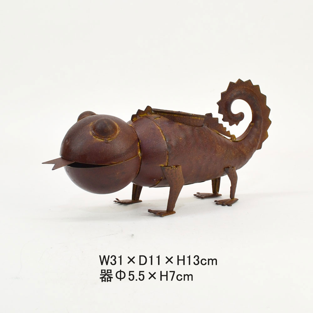 �֥ꥭ���꡼�� �ꥶ���ɥץ�󥿡� ����� ��ʪ ����