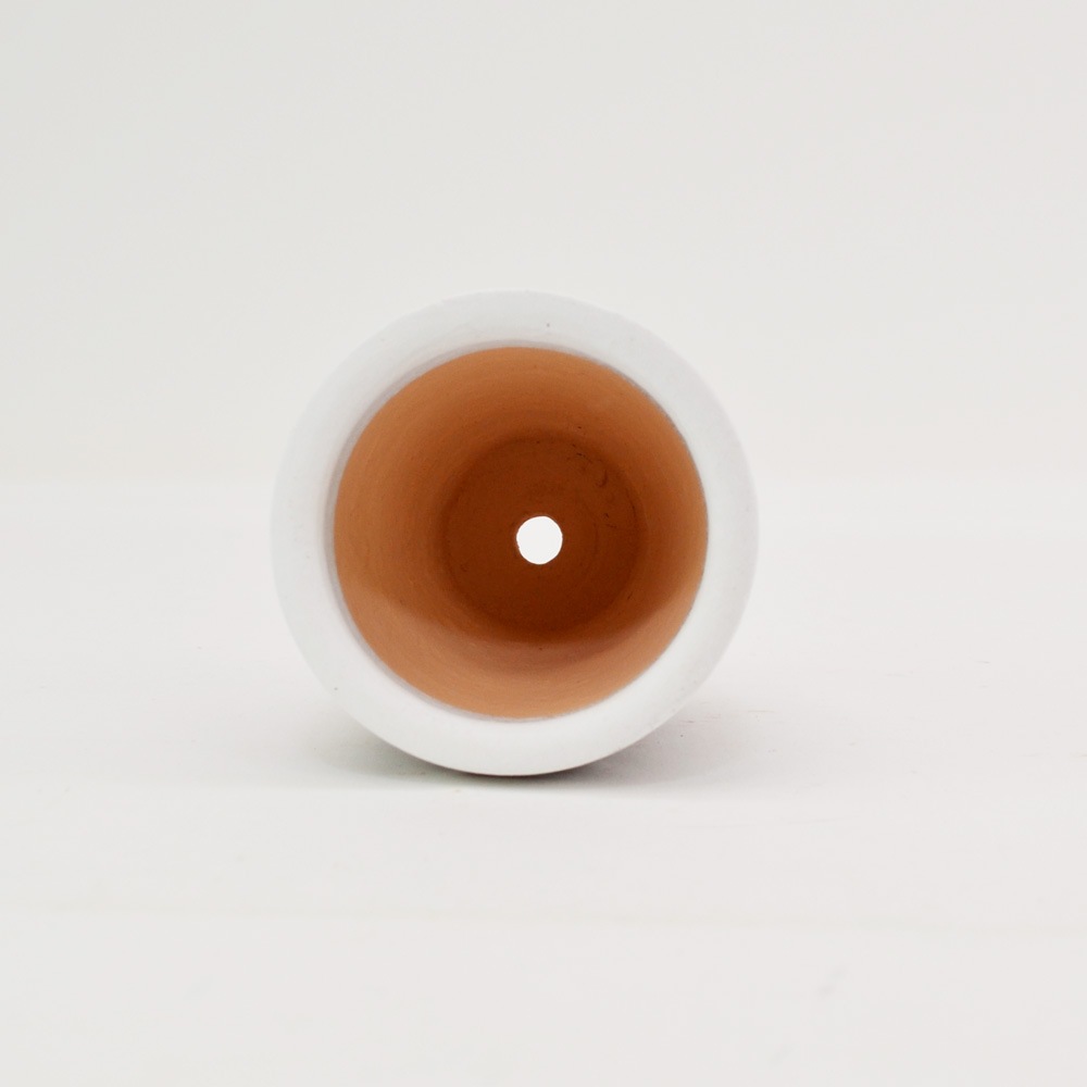 �ƥ饳�å�ȭ ����ȭ  �ޥ���� SSS 3�� �� �������