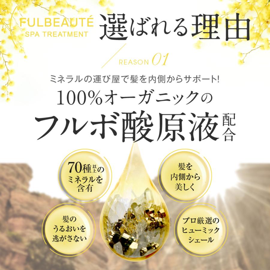 フルボーテ スパトリートメント 200g