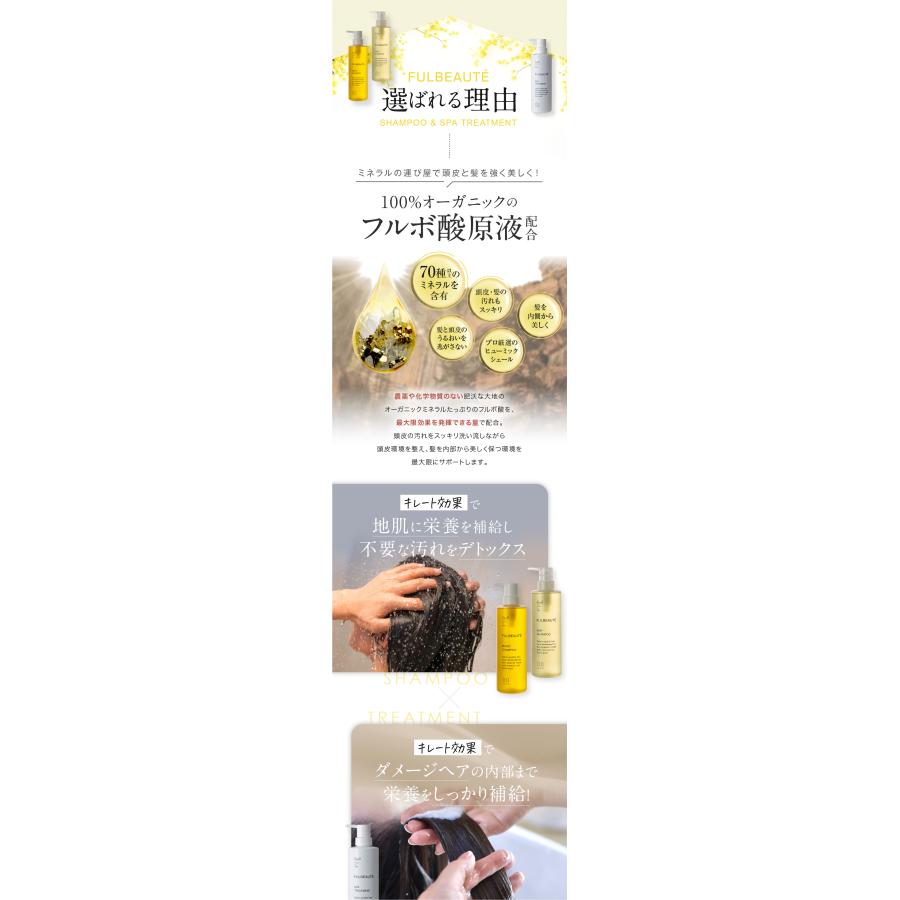 【セット価格】フルボーテ シャンプー（モイスト or エアリー）500ml ＆ スパトリートメント 500g