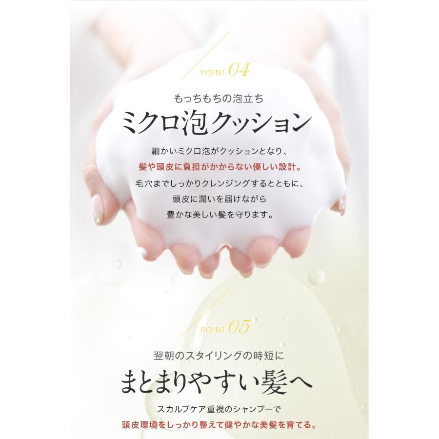 【セット価格】フルボーテ シャンプー（モイスト or エアリー）500ml ＆ スパトリートメント 500g