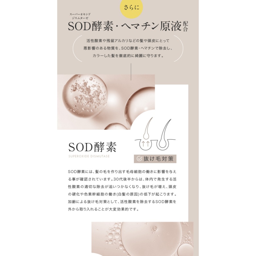 ヘアリッチ シャンプー 250ml