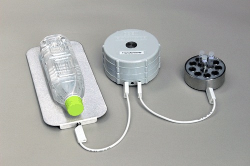 �ץ��ƥ��ȥ��㡼��