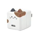 ��Фˤ㡼 ���ӡ��� ���Ŵ� AC�����ץ��� AC���Ŵ� ������C ���󥻥�� AC Type-C 5V/1.5A 7.5W 0.2A ��Х˥㡼 ���ӡ��� ���Ϥ� RACC1A02KHK �饹���Хʥ�