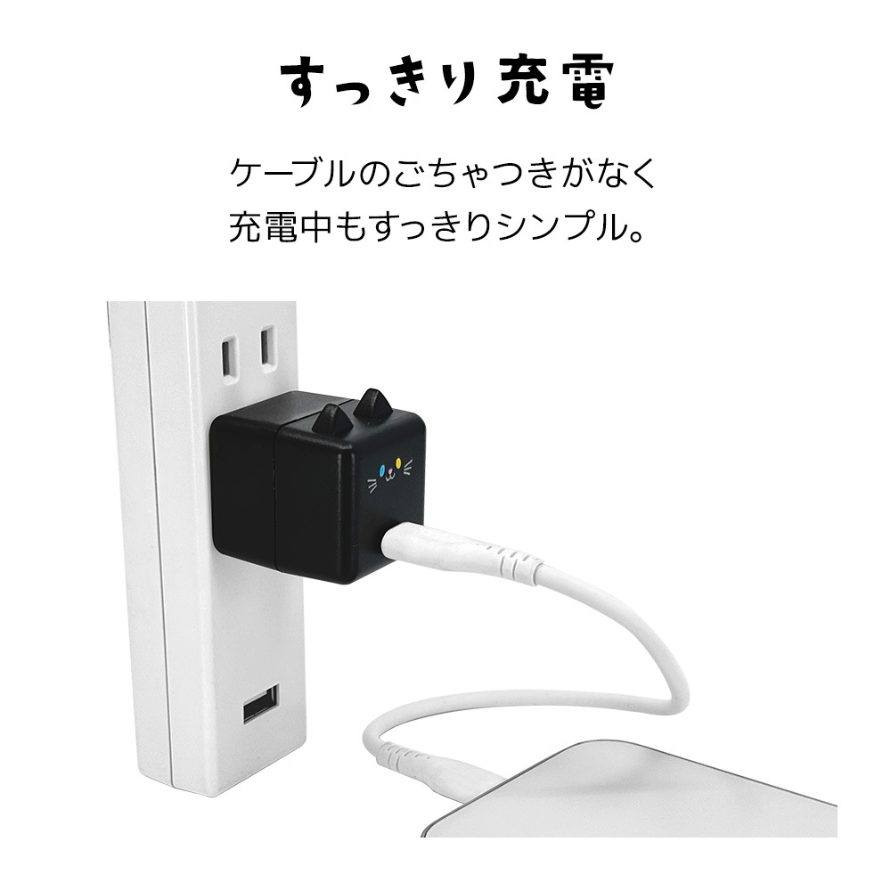 ��Фˤ㡼 ���ӡ��� ���Ŵ� AC�����ץ��� AC���Ŵ� ������C ���󥻥�� AC Type-C 5V/1.5A 7.5W 0.2A ��Х˥㡼 ���ӡ��� ���� RACC1A02GOM �饹���Хʥ�