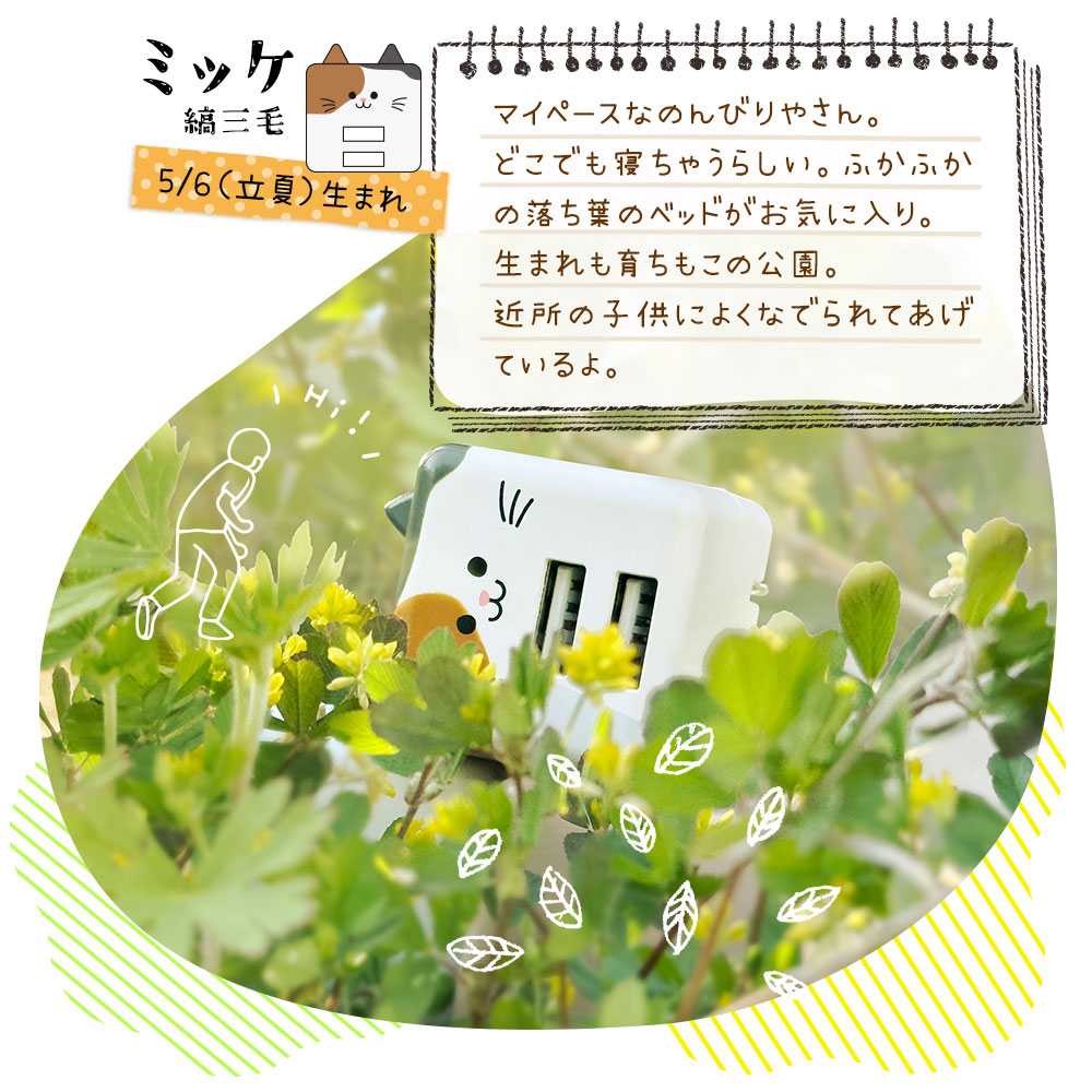 Фˤ㡼 ȥåץۥ Ǥȥåץ ǭ ͥ ͤۥ ۥ ޥۥ ֤ ޡȥե ӥʥ iPhone Android Х˥㡼  RFRSTHS05MCC 饹Хʥ