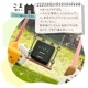 Фˤ㡼 ȥåץۥ Ǥȥåץ ǭ ͥ ͤۥ ۥ ޥۥ ֤ ޡȥե ӥʥ iPhone Android Х˥㡼  RFRSTHS05MCC 饹Хʥ