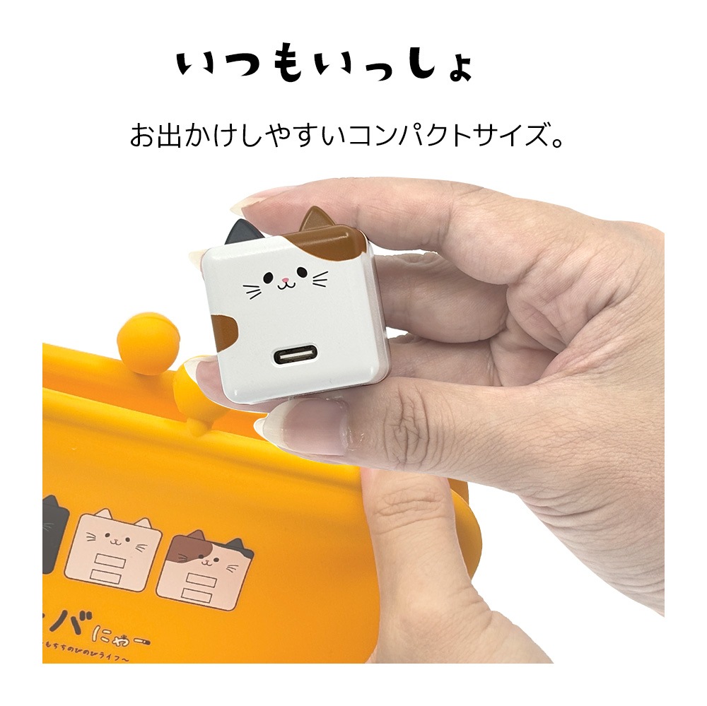 ��Фˤ㡼 ���ӡ��� ���Ŵ� AC�����ץ��� AC���Ŵ� ������C ���󥻥�� AC Type-C 5V/1.5A 7.5W 0.2A ��Х˥㡼 ���ӡ��� ���Ϥ� RACC1A02KHK �饹���Хʥ�