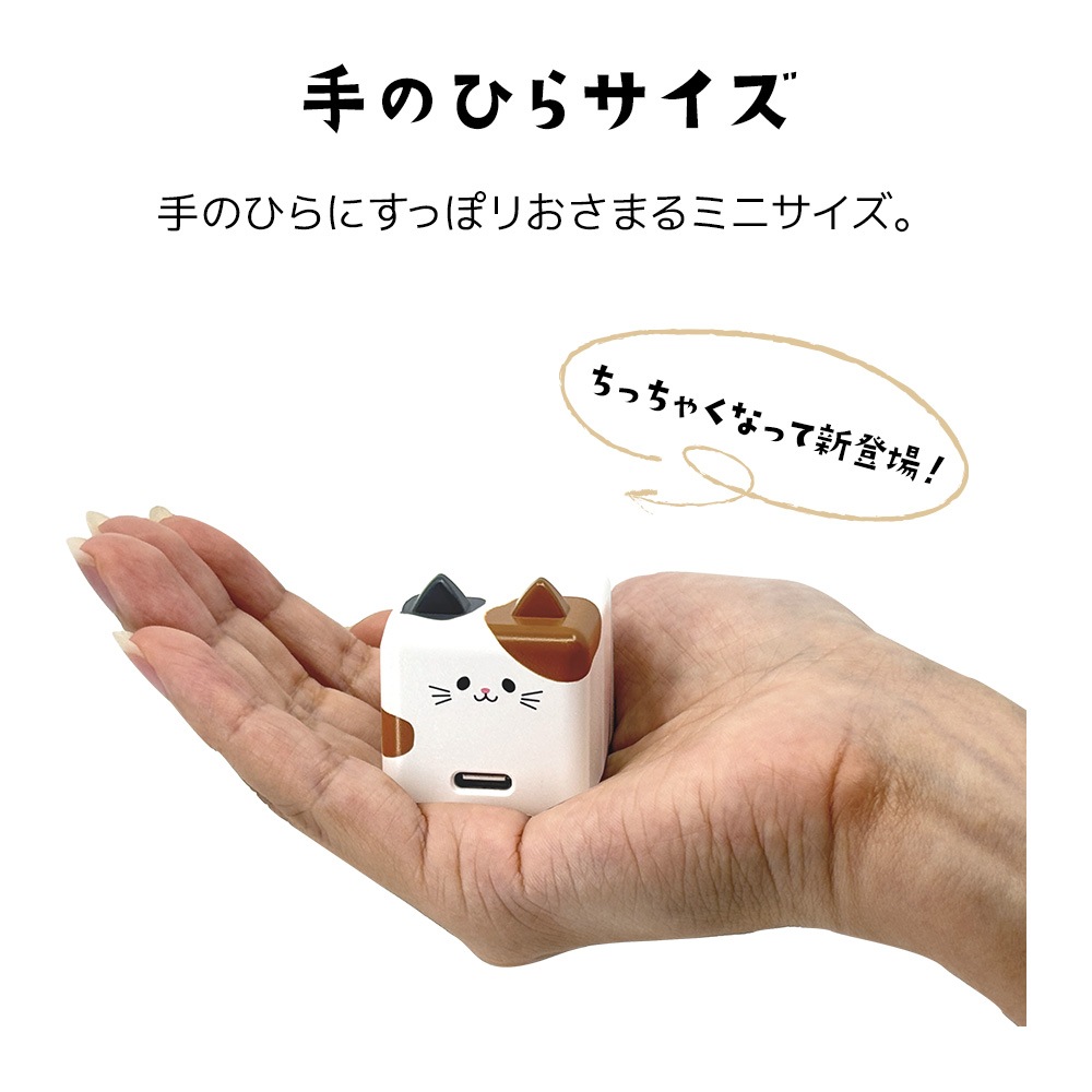 ��Фˤ㡼 ���ӡ��� ���Ŵ� AC�����ץ��� AC���Ŵ� ������C ���󥻥�� AC Type-C 5V/1.5A 7.5W 0.2A ��Х˥㡼 ���ӡ��� ���Ϥ� RACC1A02KHK �饹���Хʥ�