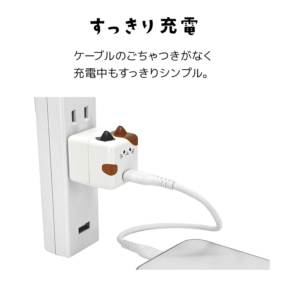 ��Фˤ㡼 ���ӡ��� ���Ŵ� AC�����ץ��� AC���Ŵ� ������C ���󥻥�� AC Type-C 5V/1.5A 7.5W 0.2A ��Х˥㡼 ���ӡ��� ���Ϥ� RACC1A02KHK �饹���Хʥ�