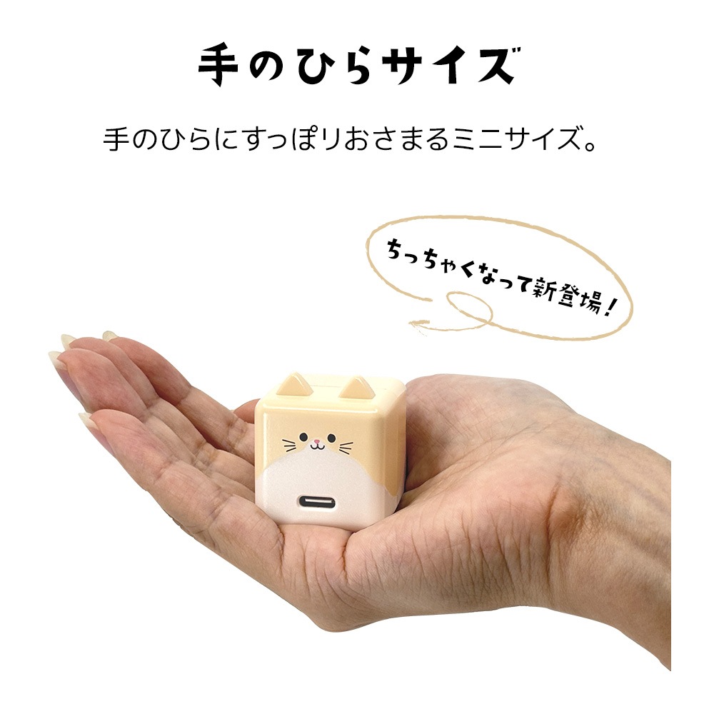 ��Фˤ㡼 ���ӡ��� ���Ŵ� AC�����ץ��� AC���Ŵ� ������C ���󥻥�� AC Type-C 5V/1.5A 7.5W 0.2A ��Х˥㡼 ���ӡ��� ����� RACC1A02ART �饹���Хʥ�