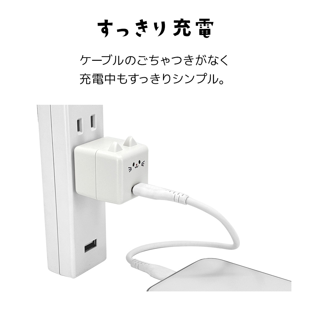 ��Фˤ㡼 ���ӡ��� ���Ŵ� AC�����ץ��� AC���Ŵ� ������C ���󥻥�� AC Type-C 5V/1.5A 7.5W 0.2A ��Х˥㡼 ���ӡ��� ����� RACC1A02MCC �饹���Хʥ�