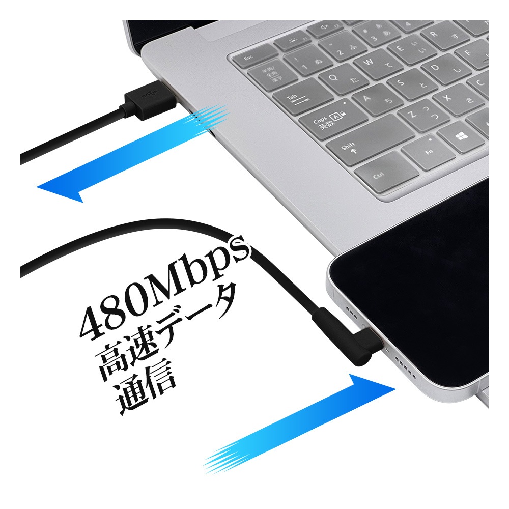 iPhone iPod iPad MFiǧ�� L���饤�ȥ˥󥰥����֥� ���餫�� ����ߤˤ��� ���� �̿� ������ �襳 2.4����ڥ� 2�᡼�ȥ� ������A Type-A to Lightning 2.4A 2m �֥�å� R20CAAL2A04BK �饹���Хʥ�