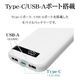 Ĺ��̿ ���� Ⱦ�������� ��������� ��Х���Хåƥ꡼ 10000mAh 3�ݡ��� ������C 20��å� ������A 3����ڥ� Type-C 20W Type-A 3A PD Power Delivery �ۥ磻�� iPhone ���ޥ� iPad RLI100C20W04WH �饹���Хʥ�