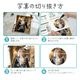 �ޥ��ͥåȼ��ե��ȥե졼�� MagSafe�б� ��ñ��æ �ޥ��ͥå� ���� �᥿�륷���� �̿�������� ���� �䤷�� KAZARi TAI ������� iPhone Android ���ޥ� RMAGPF01GD �饹���Хʥ�