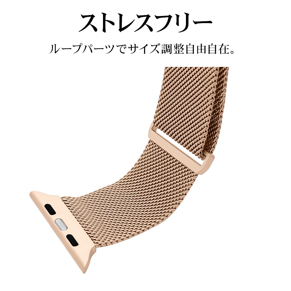 Apple Watch Series10 Series9 Series8 Series7 Series6 Series5 Series4 Series3 SE2 SE 41mm 40mm 38mm ƥ쥹 å Х ޥͥåȥץ åץ륦å ٥ RBLAW4006RG