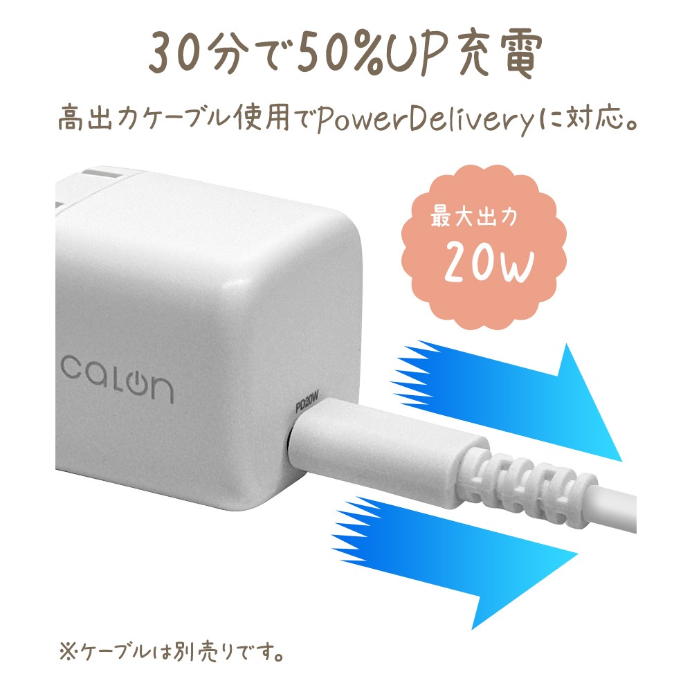 Ŵ ACץ ACŴ calon C PD ѥǥХ꡼ 20å 󥻥 USB Type-C 20W Power Delivery Ť® ޤꤿ 饤ȥ iPhone ޥ ޡȥե  RACC20W05LYL 饹Хʥ
