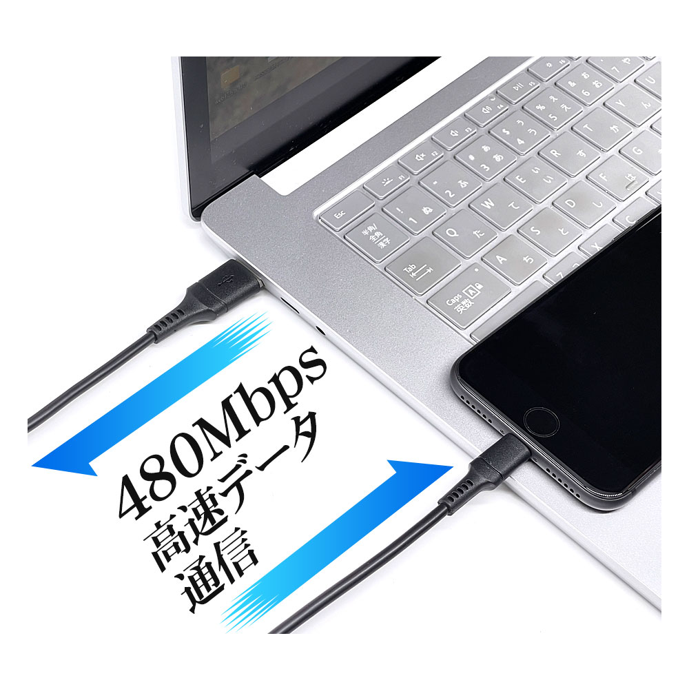 ���ť����֥� iPhone iPod iPad MFiǧ�� 2.4A �饤�ȥ˥� USB �̿������֥� Lightning USB-A �֥�å� 10cm R01CAAL2A02BK