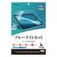 iPad Air (M4)(M3)(M2) 11����� �ե���� �����ݸ� �֥롼�饤�ȥ��å� ����� ���ʤ� ���� ������ �����ѥå� ���� �ݸ�ե���� E5316IPA11M4 �饹���Хʥ�