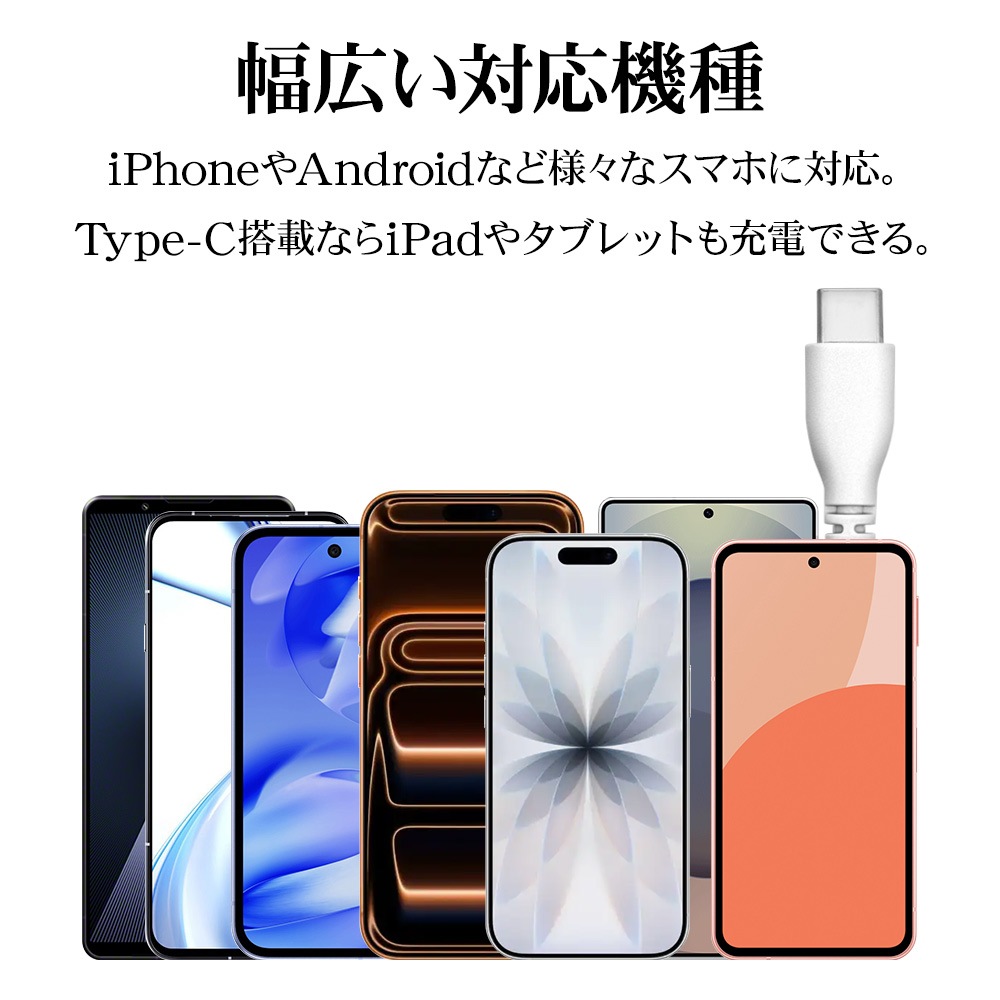 ���Ŵ� AC�����ץ��� AC���Ŵ� ������C PD �ѥ�ǥ�Х꡼ 30��å� �����֥�ľ�� 1.5�᡼�ȥ� USB Type-C typec 30W Power Delivery 1.5m ���㥳���륰�졼 iPhone iPad ���ޥ� ���֥�å� R15ACC30W01CGRY �饹���Хʥ�