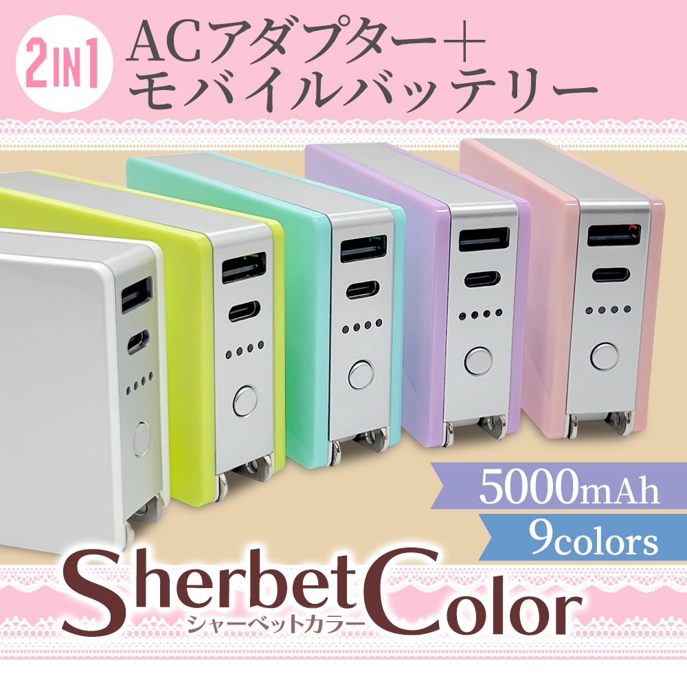 Ŵ USBŴ  ХХåƥ꡼ 5000mAh 3A USB Type-C typec Type-A Ǽ󥻥  ѥ  ǽ 2Ʊ 饤ȥѡץ iPhone iPad ֥å RLI050AC3A01LPU