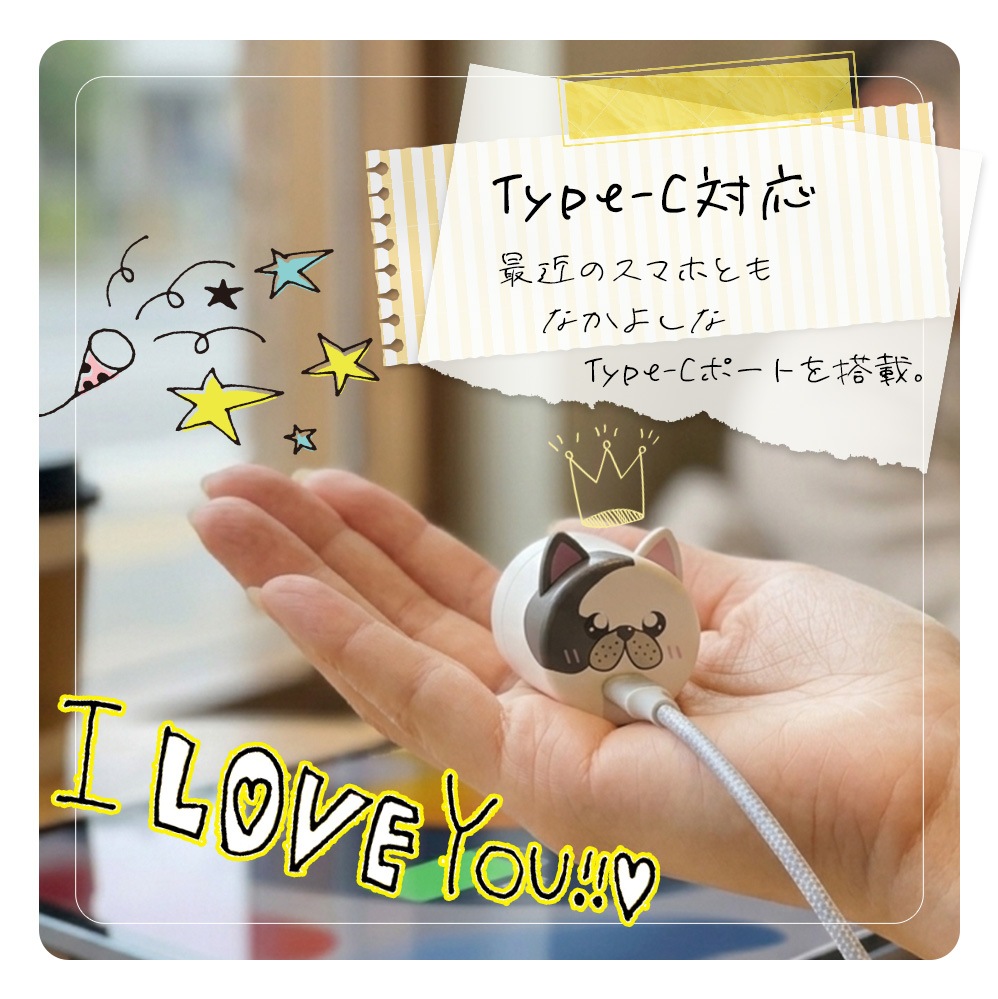 �����ɥå� ���Ŵ� AC�����ץ��� USB���Ŵ� 3A 5V ������C PD �ѥ�ǥ�Х꡼ 20��å� ���󥻥�� USB Type-C 20W Power Delivery ���� ���Ф��� ������ RACC20W06AZK �饹���Хʥ�