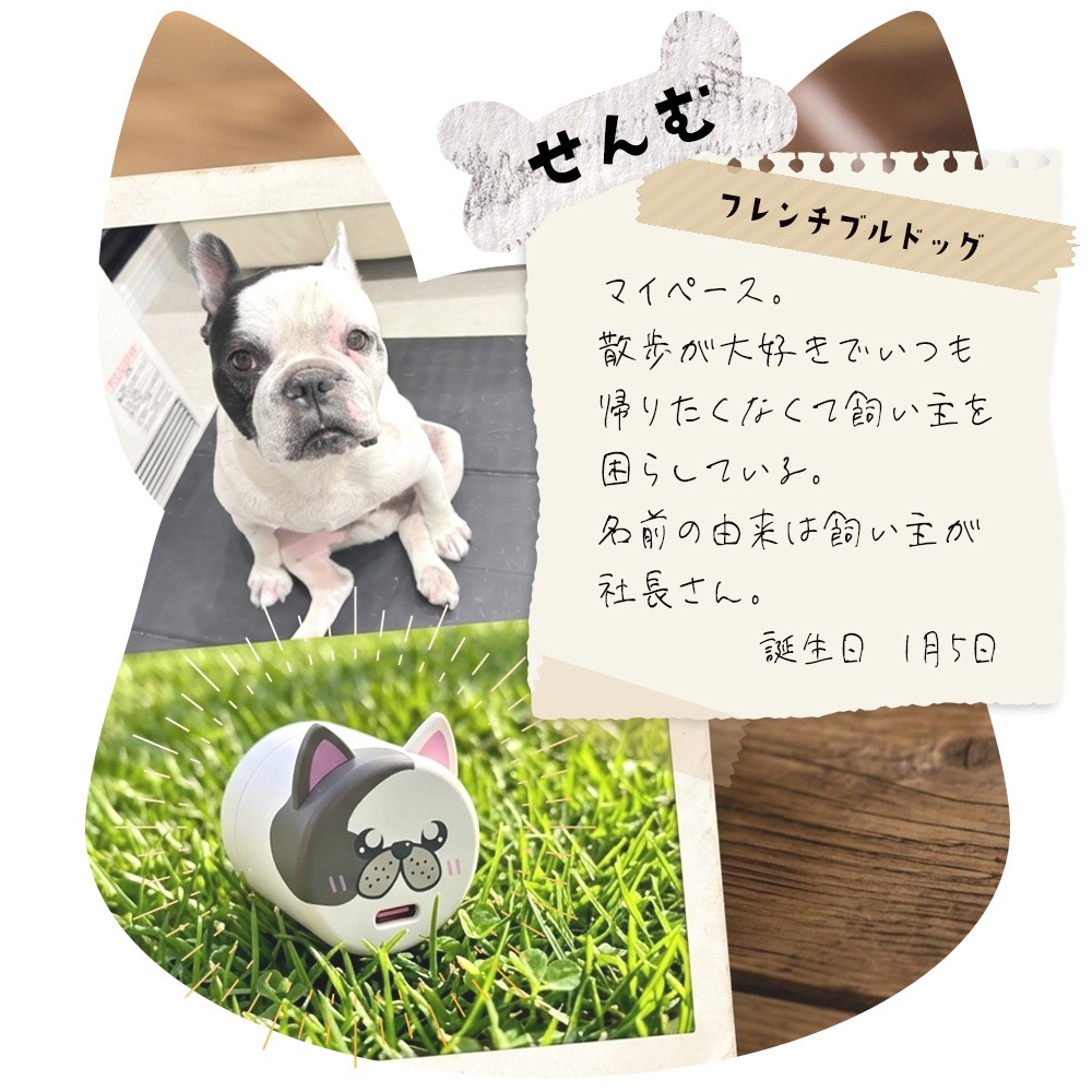 �����ɥå� ���Ŵ� AC�����ץ��� USB���Ŵ� 3A 5V ������C PD �ѥ�ǥ�Х꡼ 20��å� ���󥻥�� USB Type-C 20W Power Delivery ���� ���Ф��� ������ RACC20W06AZK �饹���Хʥ�