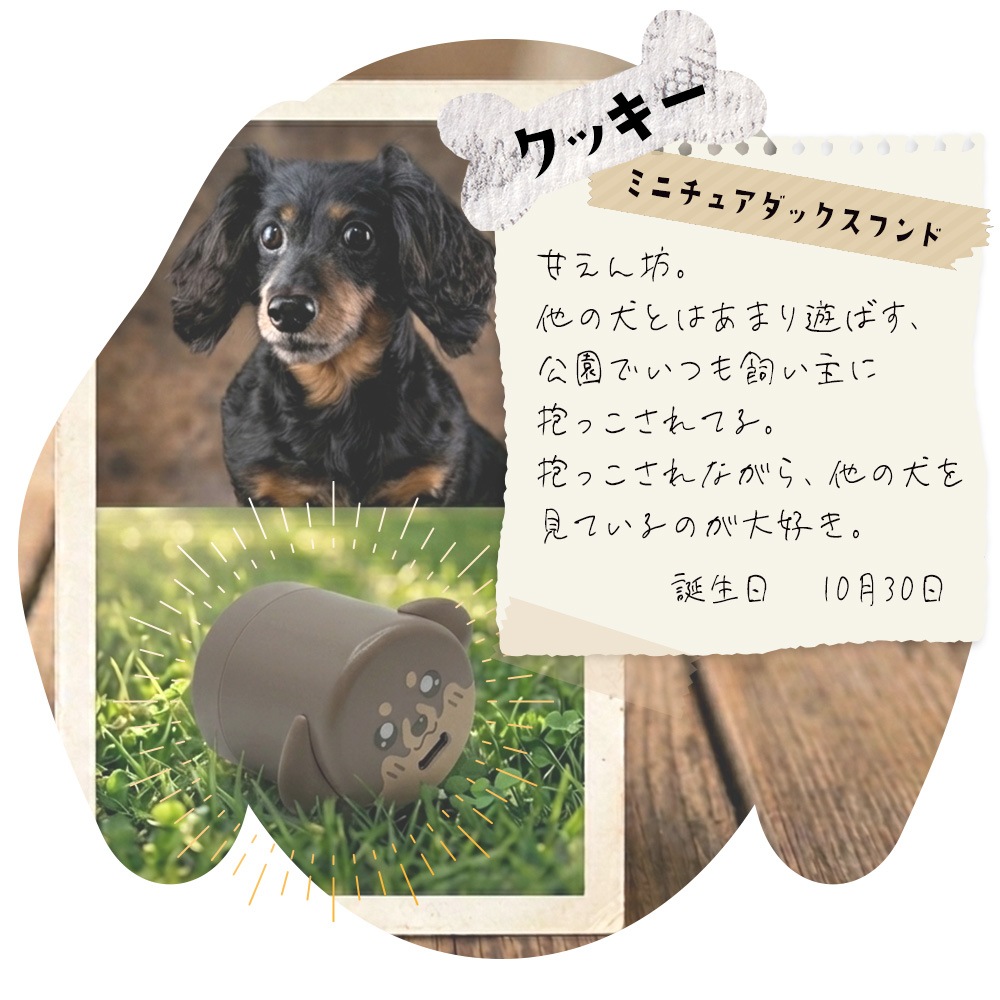 �����ɥå� ���Ŵ� AC�����ץ��� USB���Ŵ� 3A 5V ������C PD �ѥ�ǥ�Х꡼ 20��å� ���󥻥�� USB Type-C 20W Power Delivery ���� ���Ф��� ������ RACC20W06AZK �饹���Хʥ�