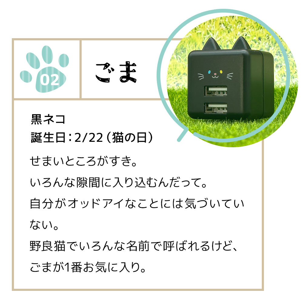 ��Фˤ㡼 ���Ŵ� AC�����ץ��� USB���Ŵ� ǭ�� ����ѥ��ȥ����� 2�ݡ��� 2.4A 5V ������A �ͥ��ߥ� �ͤ��ߤ� ���� ��Х˥㡼 ���� RAC2A2A02GOM �饹���Хʥ�