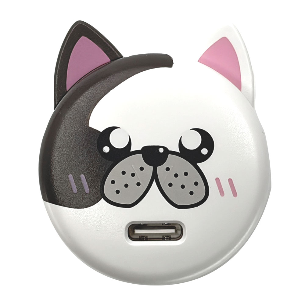 �����ɥå� ���Ŵ� AC�����ץ��� USB���Ŵ� 3A 5V ������C PD �ѥ�ǥ�Х꡼ 20��å� ���󥻥�� USB Type-C 20W Power Delivery ���� �ե����֥�ɥå� ����� RACC20W06SNM �饹���Хʥ�