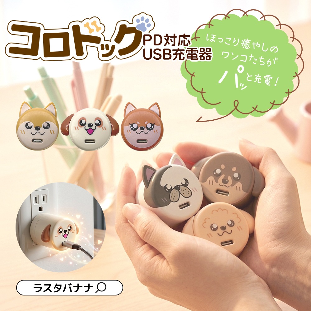 �����ɥå� ���Ŵ� AC�����ץ��� USB���Ŵ� 3A 5V ������C PD �ѥ�ǥ�Х꡼ 20��å� ���󥻥�� USB Type-C 20W Power Delivery ���� �ե����֥�ɥå� ����� RACC20W06SNM �饹���Хʥ�