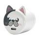 �����ɥå� ���Ŵ� AC�����ץ��� USB���Ŵ� 3A 5V ������C PD �ѥ�ǥ�Х꡼ 20��å� ���󥻥�� USB Type-C 20W Power Delivery ���� �ե����֥�ɥå� ����� RACC20W06SNM �饹���Хʥ�