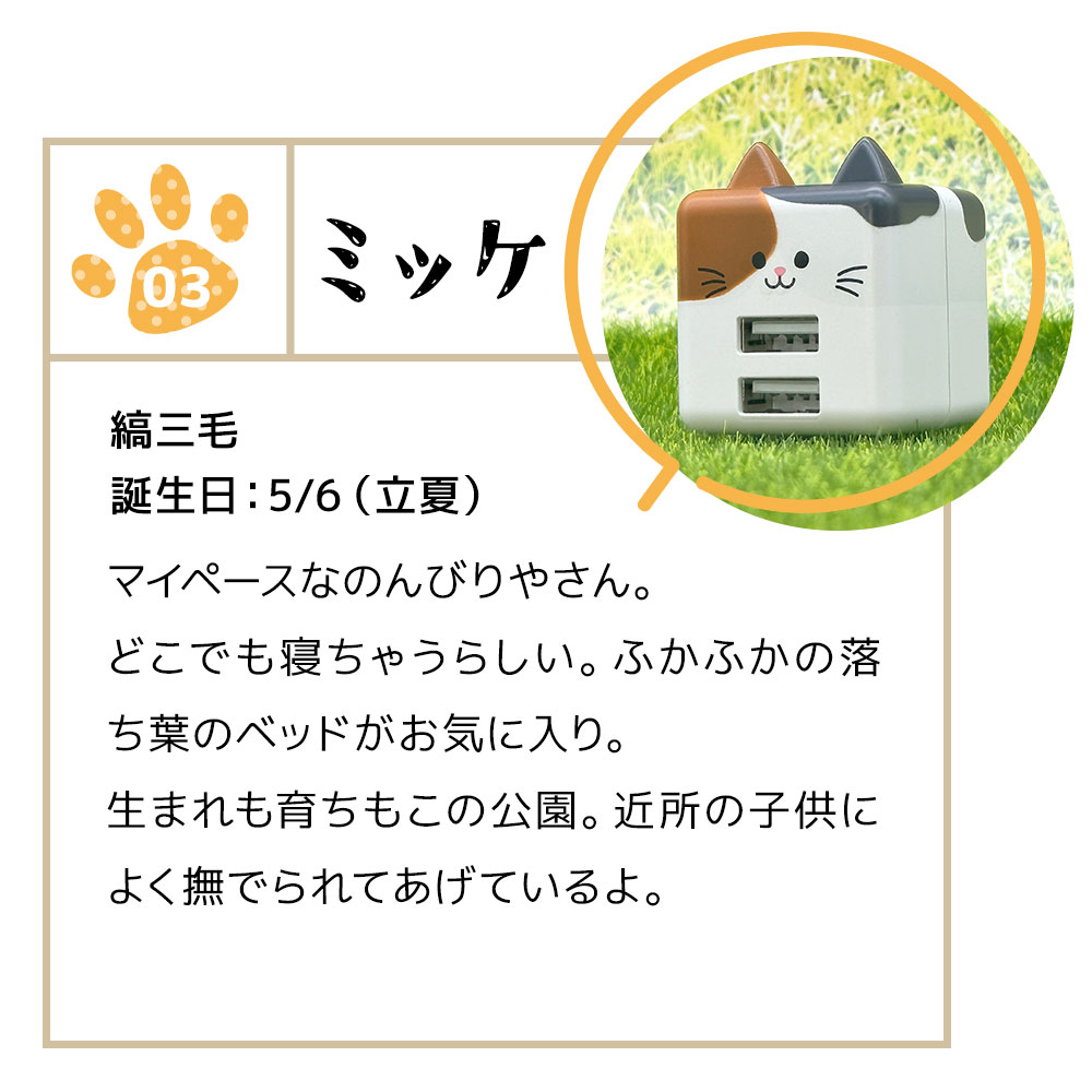 Фˤ㡼 Ŵ ACץ USBŴ ǭ ѥȥ 2ݡ 2.4A 5V A ͥߥ ͤߤ  Х˥㡼 ߥå RAC2A2A02MIK 饹Хʥ