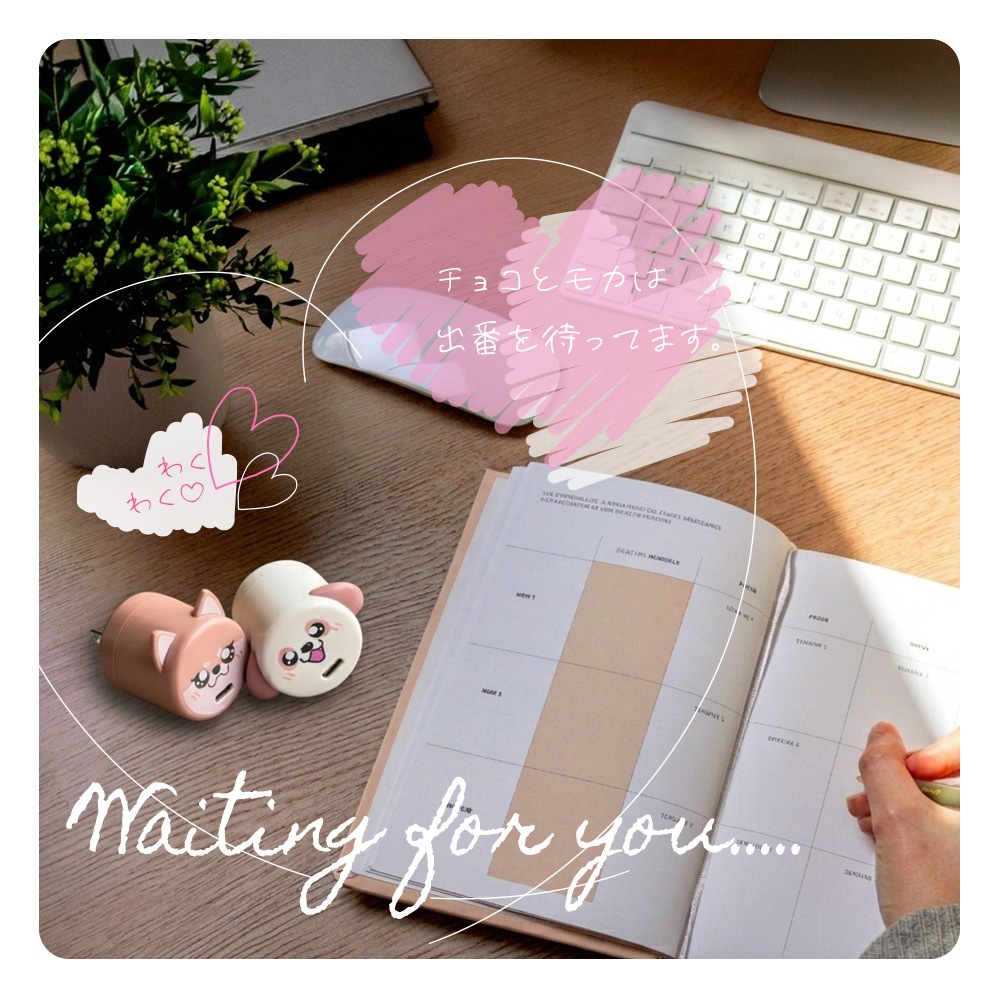 �����ɥå� ���Ŵ� AC�����ץ��� USB���Ŵ� 3A 5V ������C PD �ѥ�ǥ�Х꡼ 20��å� ���󥻥�� USB Type-C 20W Power Delivery ���� ����� ���祳 RACC20W06CHC �饹���Хʥ�
