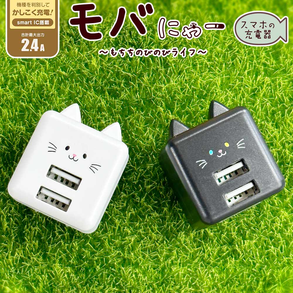Фˤ㡼 Ŵ ACץ USBŴ ǭ ѥȥ 2ݡ 2.4A 5V A ͥߥ ͤߤ  Х˥㡼 Ϥä RAC2A2A02HAC 饹Хʥ