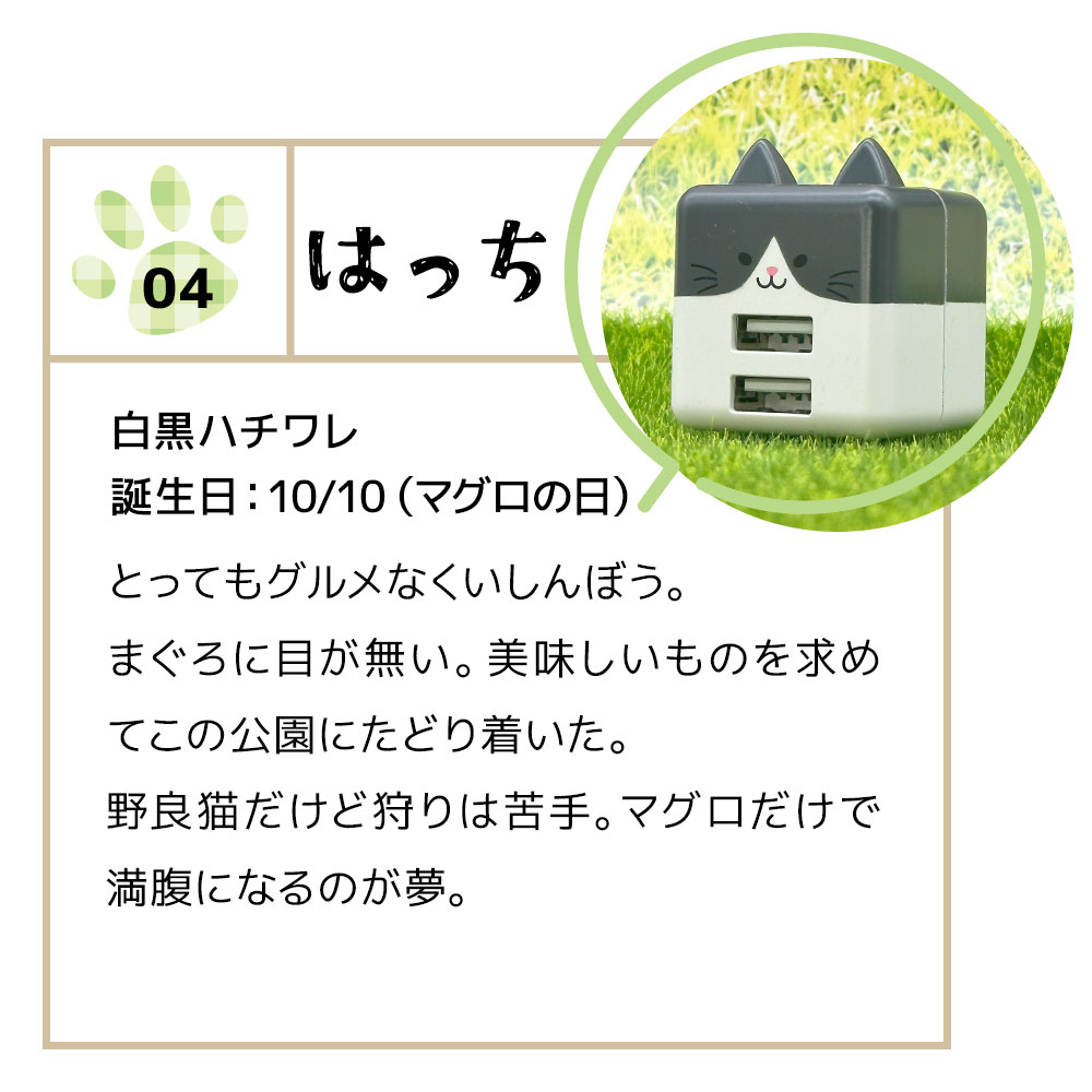 Фˤ㡼 Ŵ ACץ USBŴ ǭ ѥȥ 2ݡ 2.4A 5V A ͥߥ ͤߤ  Х˥㡼 Ϥä RAC2A2A02HAC 饹Хʥ