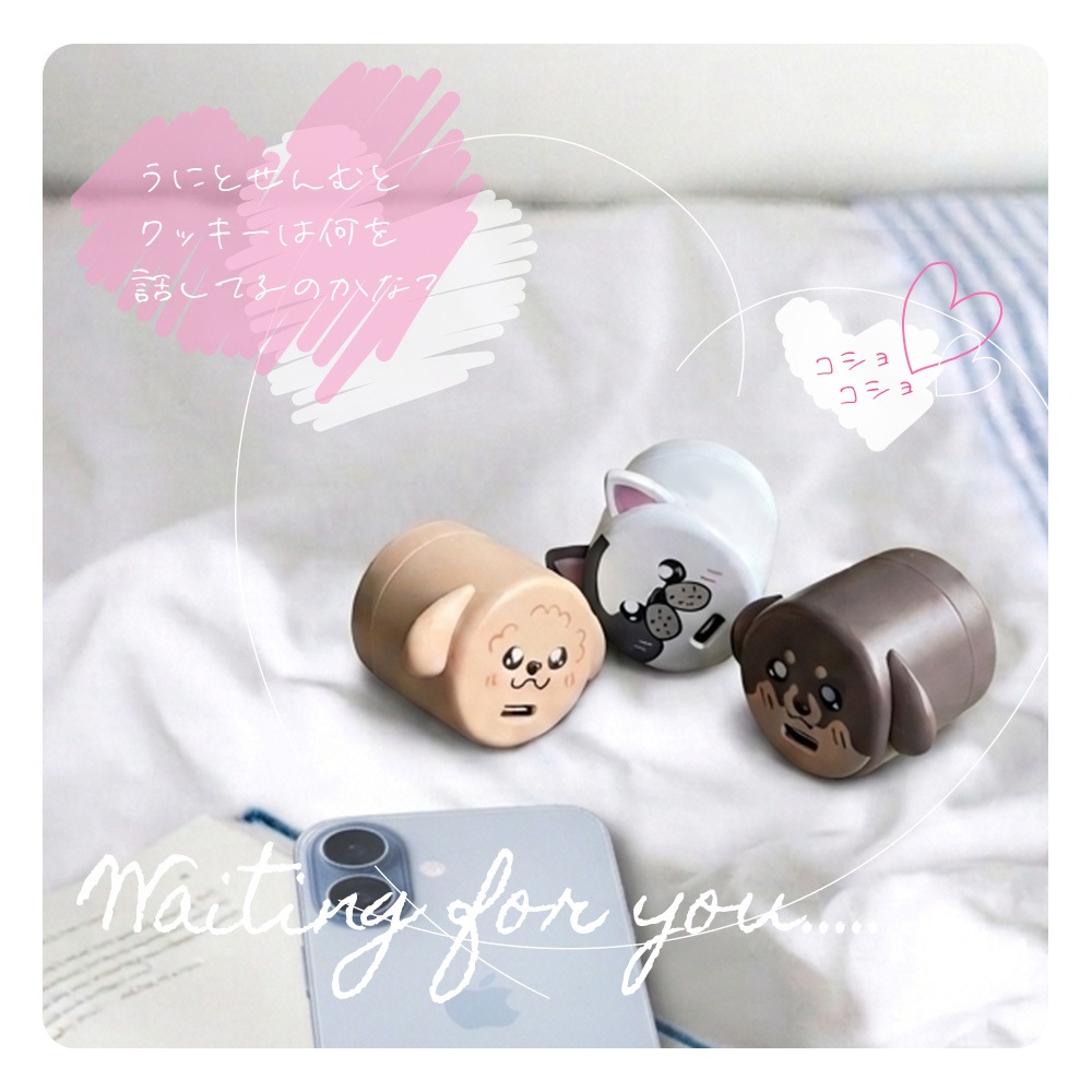 �����ɥå� ���Ŵ� AC�����ץ��� USB���Ŵ� 3A 5V ������C PD �ѥ�ǥ�Х꡼ 20��å� ���󥻥�� USB Type-C 20W Power Delivery ���� �ȥ��ס��ɥ� ���� RACC20W06UNI �饹���Хʥ�
