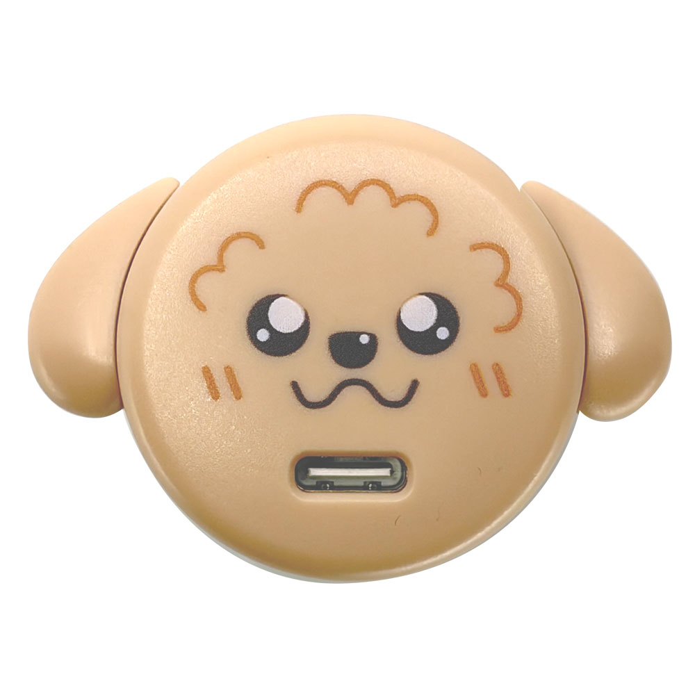 �����ɥå� ���Ŵ� AC�����ץ��� USB���Ŵ� 3A 5V ������C PD �ѥ�ǥ�Х꡼ 20��å� ���󥻥�� USB Type-C 20W Power Delivery ���� �ȥ��ס��ɥ� ���� RACC20W06UNI �饹���Хʥ�