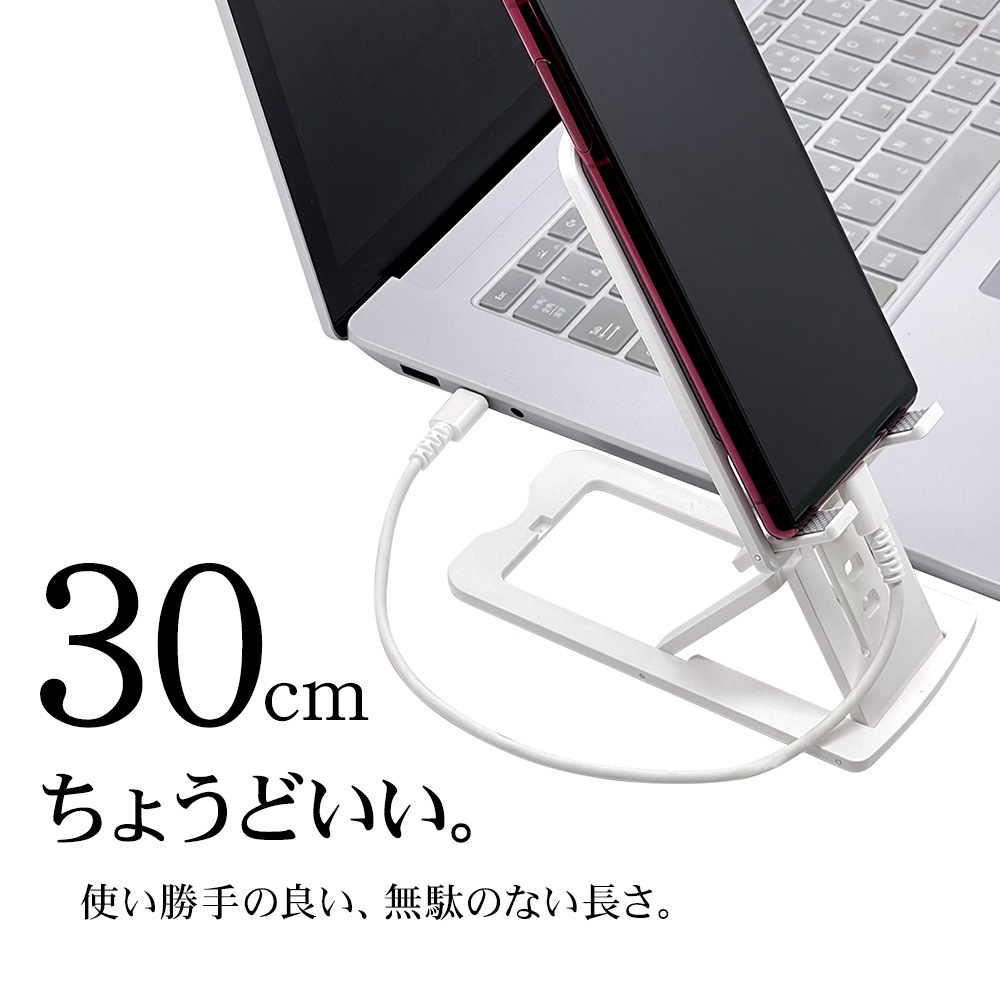 iPhone15 ���ޥ� �����֥� PD�б� USB3.2 gen2 10Gbps ���餫�� ����ߤˤ���  ���� �̿� 0.3�᡼�ȥ� 30����� Type-C to Type-C Power Delivery 100W 30cm ��® ��® ���㥳���륰�졼 R03CACC5A02CGRY 