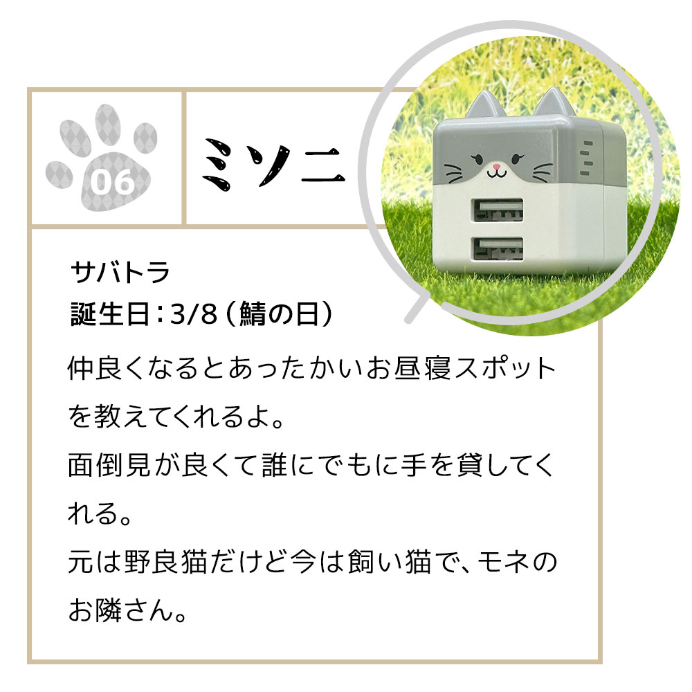 Фˤ㡼 Ŵ ACץ USBŴ ǭ ѥȥ 2ݡ 2.4A 5V A ͥߥ ͤߤ  Х˥㡼 ߥ RAC2A2A02MSN 饹Хʥ