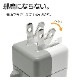 Фˤ㡼 Ŵ ACץ USBŴ ǭ ѥȥ 2ݡ 2.4A 5V A ͥߥ ͤߤ  Х˥㡼 ߥ RAC2A2A02MSN 饹Хʥ