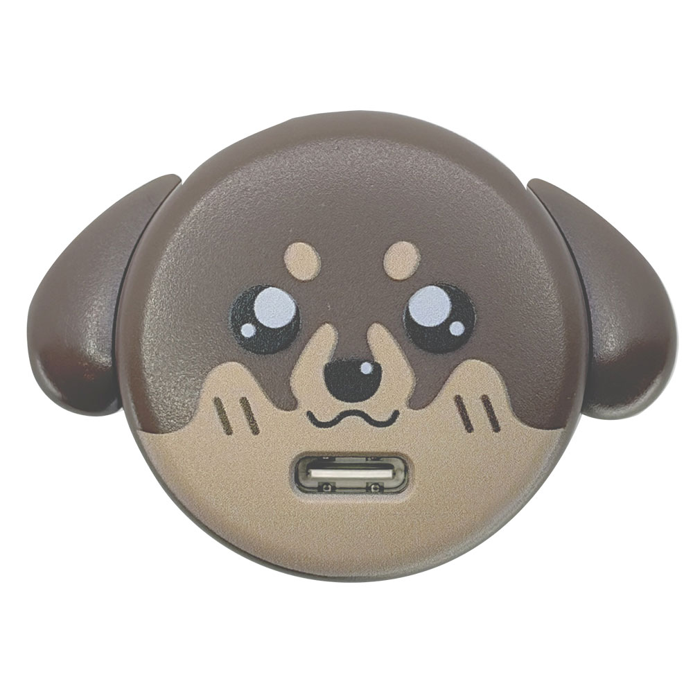 �����ɥå� ���Ŵ� AC�����ץ��� USB���Ŵ� 3A 5V ������C PD �ѥ�ǥ�Х꡼ 20��å� ���󥻥�� USB Type-C 20W Power Delivery ���� �ߥ˥��奢���å����ե�� ���å��� RACC20W06CKI �饹���Хʥ�