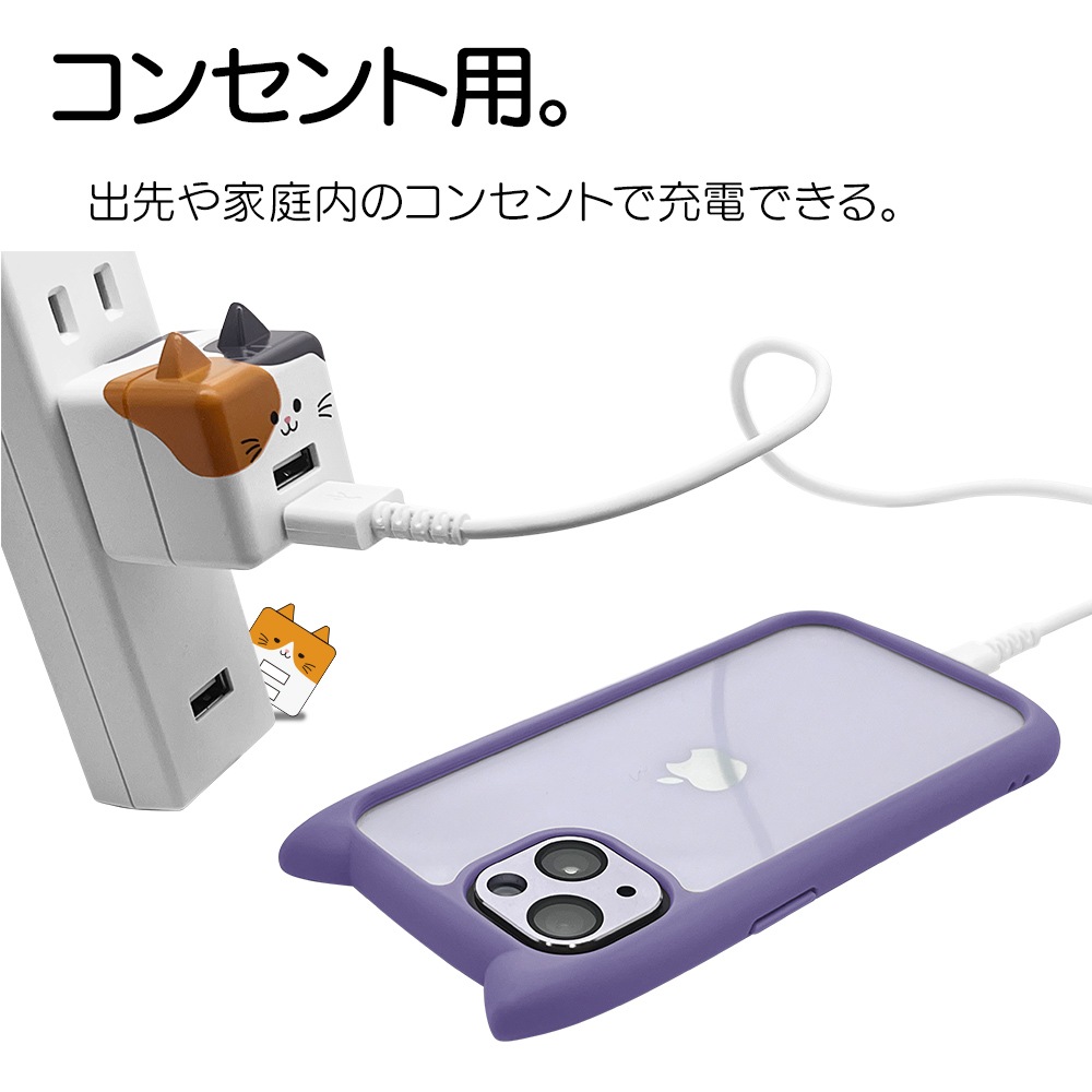 ��Фˤ㡼 ���Ŵ� AC�����ץ��� USB���Ŵ� ǭ�� ����ѥ��ȥ����� 2�ݡ��� 2.4A 5V ������A �ͥ��ߥ� �ͤ��ߤ� ���� ��Х˥㡼 ������ RAC2A2A02KSR �饹���Хʥ�