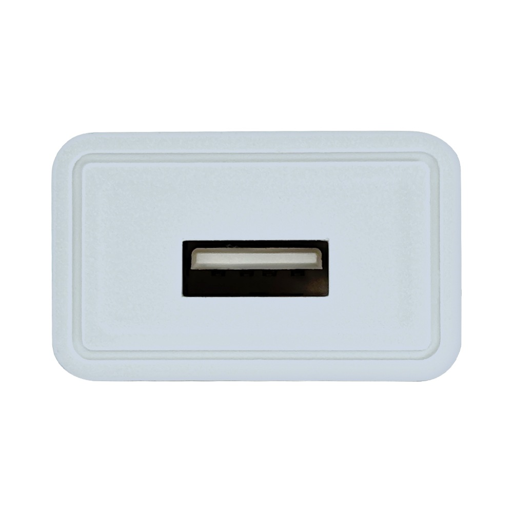 ���Ŵ� AC�����ץ��� AC���Ŵ� USB�ݡ��� ������A 2����ڥ� ���� ���󥻥�� AC USB Type-A typea 2A ����ѥ��� ���⡼�����֥롼 �����Ʋ��� �إ��������� �������С� RACA2A04SBL �饹���Хʥ�